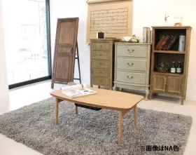 ELFE-901WAL AZUMAYA Folding Legs Wooden Kotatsu Heater Table #2