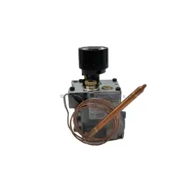R6563 EMPIRE Gas Valve Fitting Plugs
