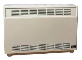 RH50CNAT EMPIRE Freestanding Gas Heatr Ng #2