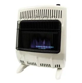 F156021 HEATSTAR Vent Flame Natural Gas Heater Thermostat