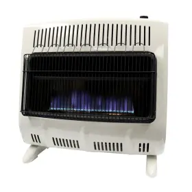 F156061 HEATSTAR Vent Flame Natural Gas Heater Thermostat