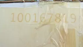 100167819 LOCHINVAR Boiler Integrated Control Board Box
