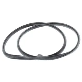 100208088 LOCHINVAR Door Gasket