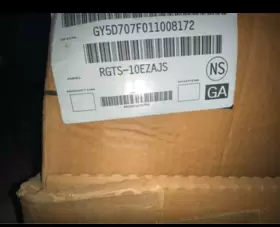 RGTS10EZAJS RHEEM Afue Burner #2