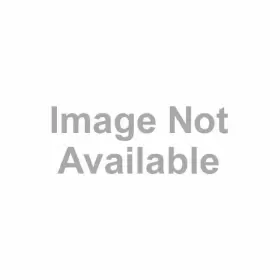 PTRKIT301 TRIANGLE TUBE Spark Ignitor Prestige Boilers Kit