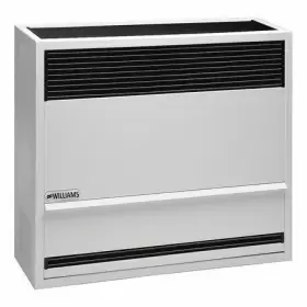 3003821 WILLIAMS Mount Gas Wall Heater Propane