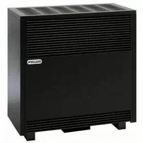 5001922A WILLIAMS Natural Gas Heater