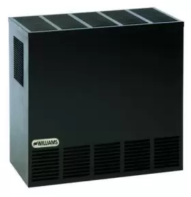 2001621A WILLIAMS COMFORT PRODUCTS Freestanding Gas Heatr Lp #2