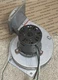 FASCO 7021-8428 Draft Inducer Blower Motor Assembly Trane 21D330673 🔥 Checked