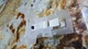 Bosch OEM Housing float assembly 00751391 751391 water leak switch for float