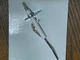 AERCO BOILER GRP Ricam Detection Electrode Flame Sensor P/N 62632007