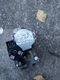 White Rodgers GEMINI 36G22Y 202 Furnace Gas Valve B12826-28