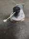 Fasco Draft Inducer Motor Assembly 115V 7021-8428 Trane 21D330673 used