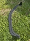 Fits 10-15 Chevrolet Camaro ZL1 MB Style Front Lip Spoiler Splitter Unpainted PP Fits 10-15 Chevrolet Camaro ZL1 MB Style Front Lip Spoiler Splitter Unpainted PP