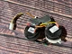 Honeywell BA80019-1 BA80019-2 furnace pressure switches