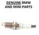 GENUINE BMW E30, E28, 3 5  Series Spark Plug 12129061870.  Bosch F8 LCR.   21C1