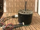 A. O. SMITH F48L37A50 FURNACE BLOWER MOTOR 1/2 HP 1075/3 SPEED 024-23271-000 A. O. SMITH F48L37A50 FURNACE BLOWER MOTOR 1/2 HP 1075/3 SPEED 024-23271-000