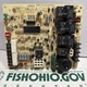 RHEEM 62-24140-02 CONTROL BOARD 1028-928
