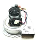 BROAD-OCEAN Y3S248B51 Inducer Motor D965130P01 208/230V 60Hz used #MF762
