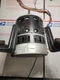 OEM ICP Heil Tempstar 3/4 HP Furnace Blower Motor 1185965 OEM ICP Heil Tempstar 3/4 HP Furnace Blower Motor 1185965