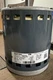 New HD46AR241 - OEM Carrier Bryant Payne 3/4 HP X13  Blower motor (59me39nxl119)