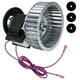 A078 Central Furnace Blower Motor for Goodman 0131G00000PS | Fasco 70582338 NEW