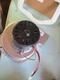 SERVICE FIRST Trane American Standard Inducer Blower Motor FAN03049 FAN3049 M10