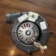 Furnace Exhaust Inducer Motor Fits Trane American Standard BLW0879 BLW00879 Furnace Exhaust Inducer Motor Fits Trane American Standard BLW0879 BLW00879