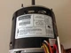 TOTALINE P257-8585 1/3 HP 115 VOLT 1075 RPM 3 SPEED MOTOR K55HXLZC-2705 TOTALINE P257-8585 1/3 HP 115 VOLT 1075 RPM 3 SPEED MOTOR K55HXLZC-2705