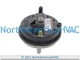 Furnace Air Pressure Switch Fits Tridelta Trane FS6203A-2397 C341096P04 2.03"