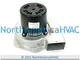 OEM ICP Heil Tempstar Exhaust Inducer Motor Replaces FASCO 70219237 1054268P