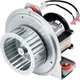 Hiorucet HC21ZE117 Inducer Motor for Carrier Bryant Payne Furnace 115V Copper