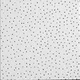 Armstrong 869B Vl Perforated Ceiling Tile, 24 In W X 24 In L, Square Lay-In,