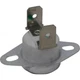 Austroflamm Integra Pellet Stove High Limit Heat Sensor: 104696-AMP