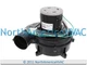 ClimaTek Inducer Motor 115V 60HZ Replaces Packard 66181
