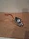 White Rodgers 36J55-255P1 2 Gas Valve Lennox Allied 103181-02 with tube hose