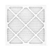 Honeywell 50049537-005 Filter DR65 Replacement 1/2" Air Filter