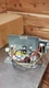 Lennox 7Kw Electric Heat Kit 40K66 AHSA07A-1 Also Fits Armstrong AirEase ADP
