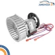 NEW Exhaust Vent Venter Motor A078 Replacement for Goodman 0131G00000PS