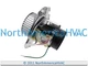 OEM Carrier Bryant Payne Furnace Draft Inducer Motor Fits HC21ZS128 347822-764