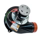 Diversitech 66781 Draft Inducer 115 Volt 3000 RPM Replaces Rheem 70-101087-01