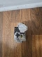 White-Rodgers 36G22-254 Gas Valve