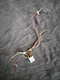 ICP Comfortmaker harness 330950-703