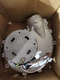 Packard 66254 Furnace Draft Inducer Motor Replacement for ICP 1010008 1085571