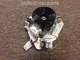JAKEL J238-112-11203 Draft Inducer Motor Assembly Carrier HC21ZE126A