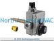 Rheem Ruud Richmond Vanguard Water Heater Nat Gas Valve Fits AP8555B-15 SP8555B